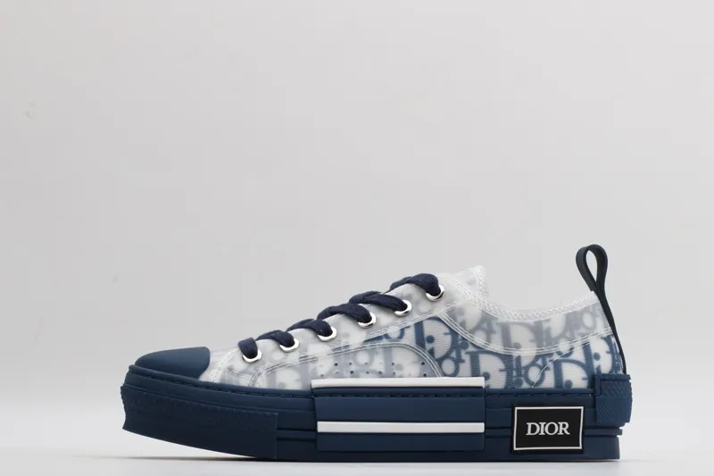 Dior sneaker
